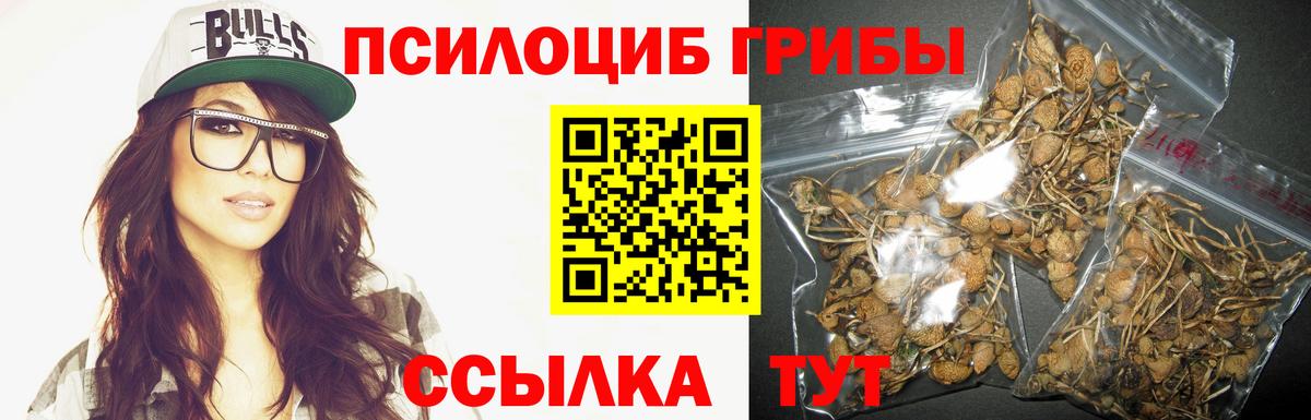 Галлюциногенные грибы ЛСД  Вход с VPN  Домодедово 